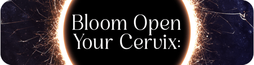 Venus-of-the-Earth-Guided-Reflections-6_04