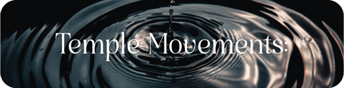 Venus-of-the-Earth-Guided-Reflections-3_04-1